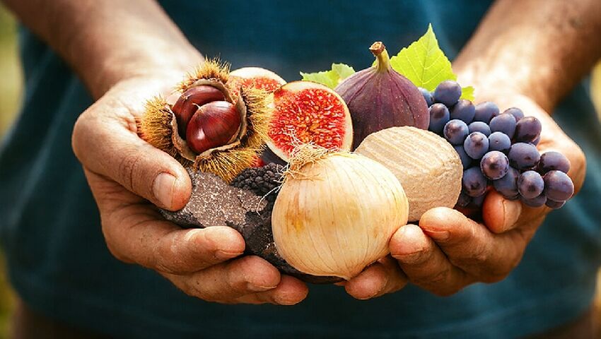 Le Gard au salon de l'agriculture