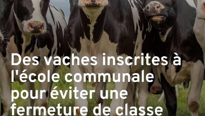 Fermeture de classes