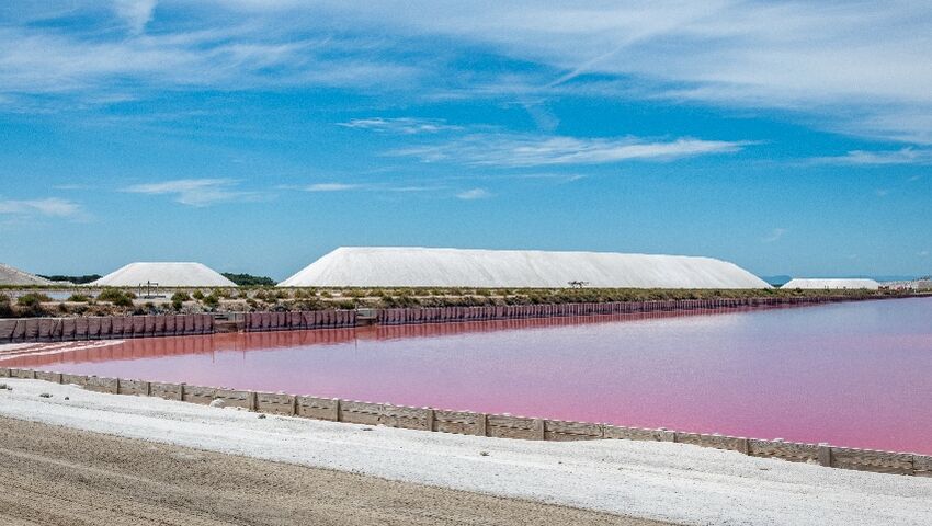 salins