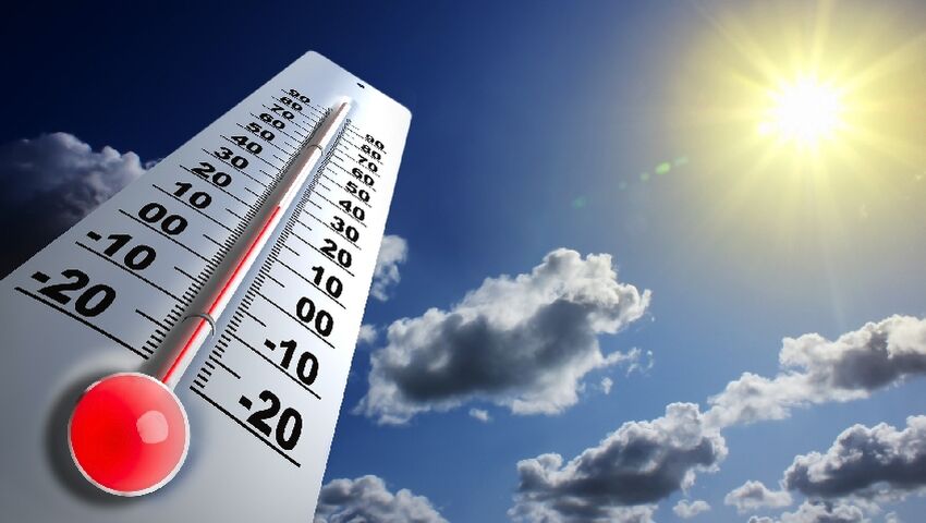 Canicule