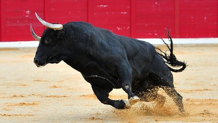 La corrida interdite aux enfants