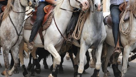 Feria d'Alès