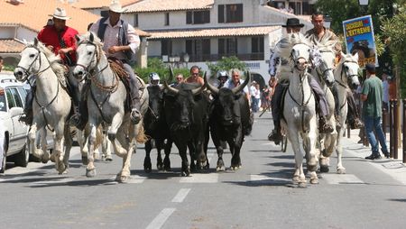 Abrivado mortel
