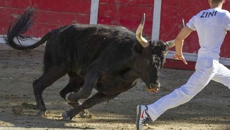 Courses camarguaises