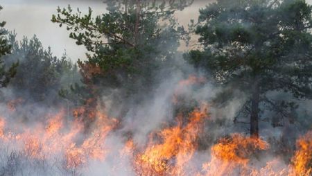 bilan des incendies 2025