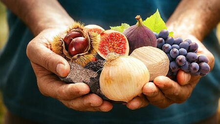 Le Gard au salon de l'agriculture