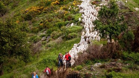 Année de l'Agropastoralisme
