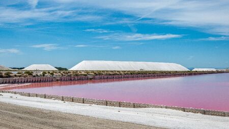 salins